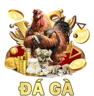 Chính sách Cookie của ole777 casino